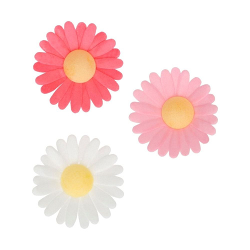 FunCakes Daisy - Edible Wafer Flowers Pack Of 13