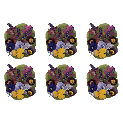 Nurtured In Norfolk Mixed Flowers And Leaves - Pressed Edible Flowers (Bulk Buy Pack Of 6)