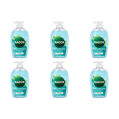 Radox Protect + Replenish Antibac Handwash (Bulk Buy Pack Of 6)