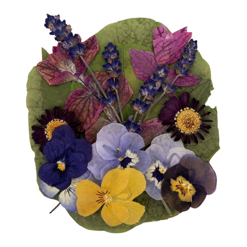 Nurtured In Norfolk Mixed Flowers And Leaves - Pressed Edible Flowers (Bulk Buy Pack Of 6)