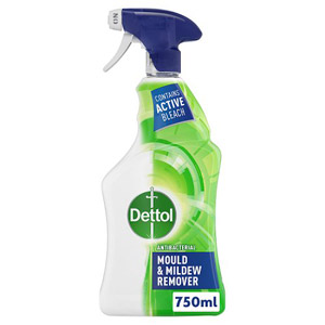 Dettol Mould & Mildew Remover Spray